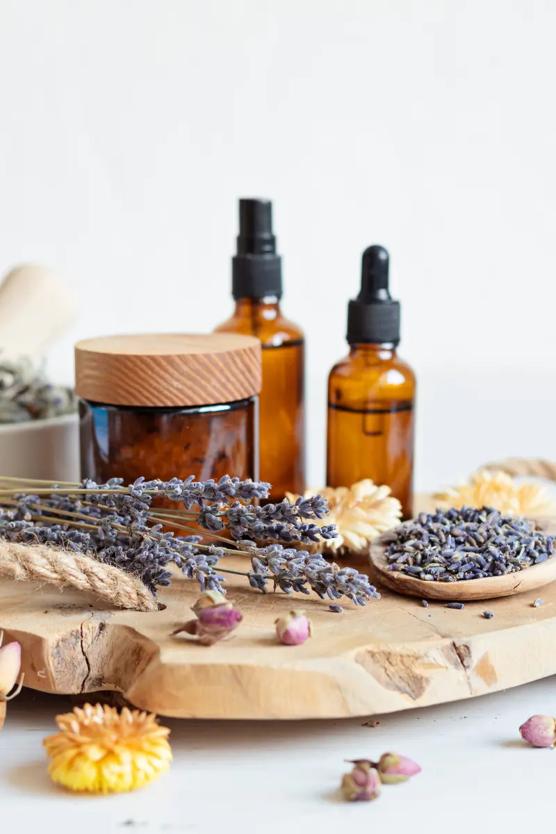 outils-naturopathe Représentation naturopathie